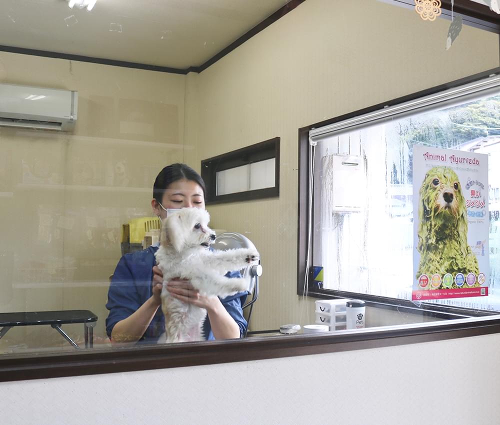 リラックスのできるトリミング