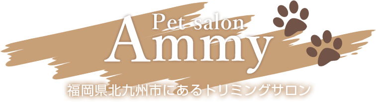 福岡県北九州市にあるトリミングサロン